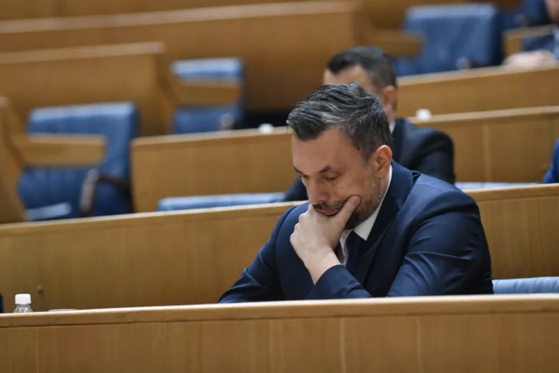 Elmedin Konaković parlament BiH