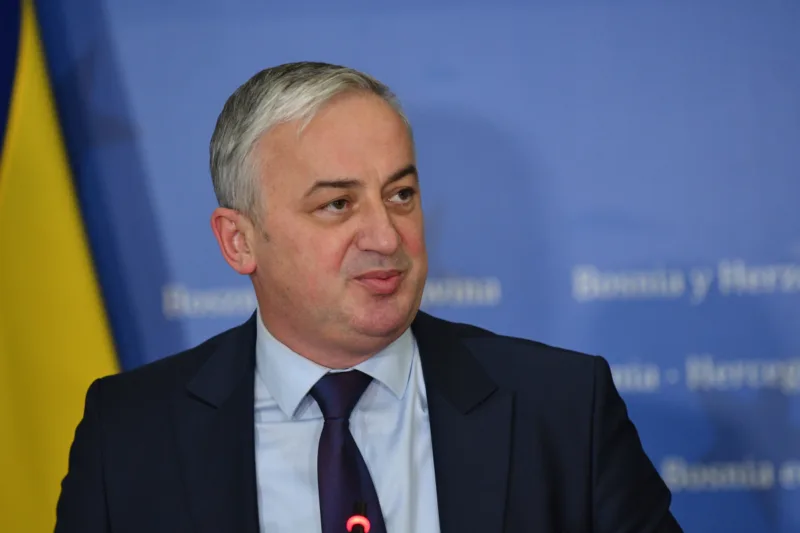 borislav borenović