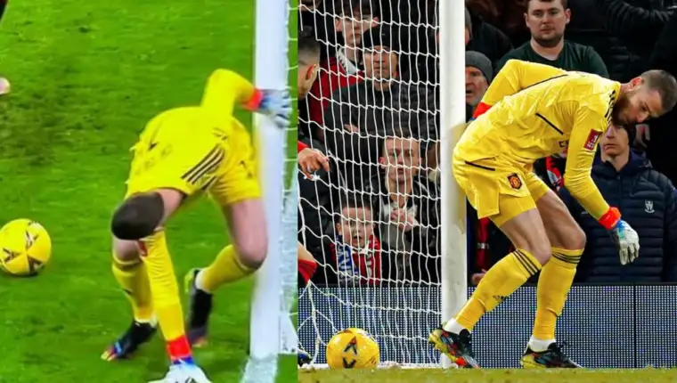 david de gea golman