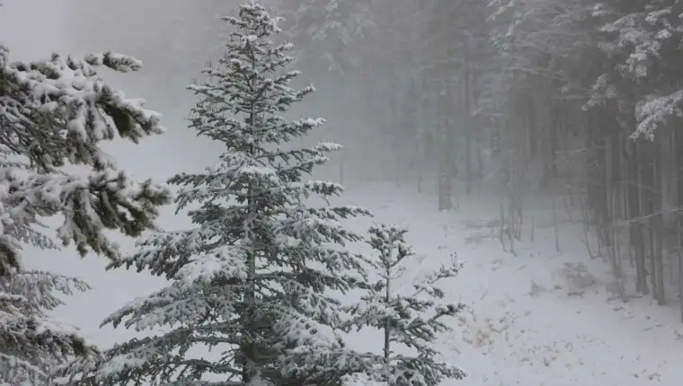 bjelasnica_snijeg_planina_51319