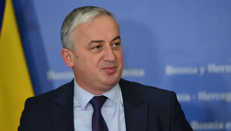 borislav borenović