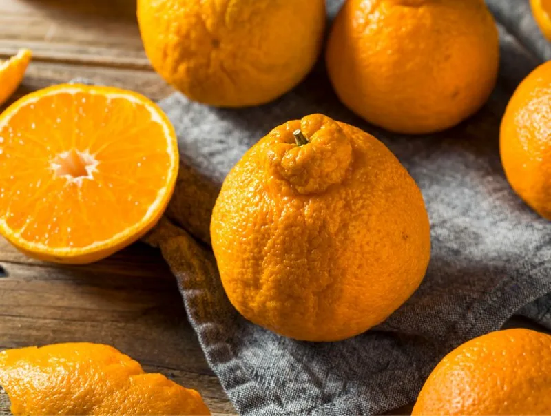 mandarine