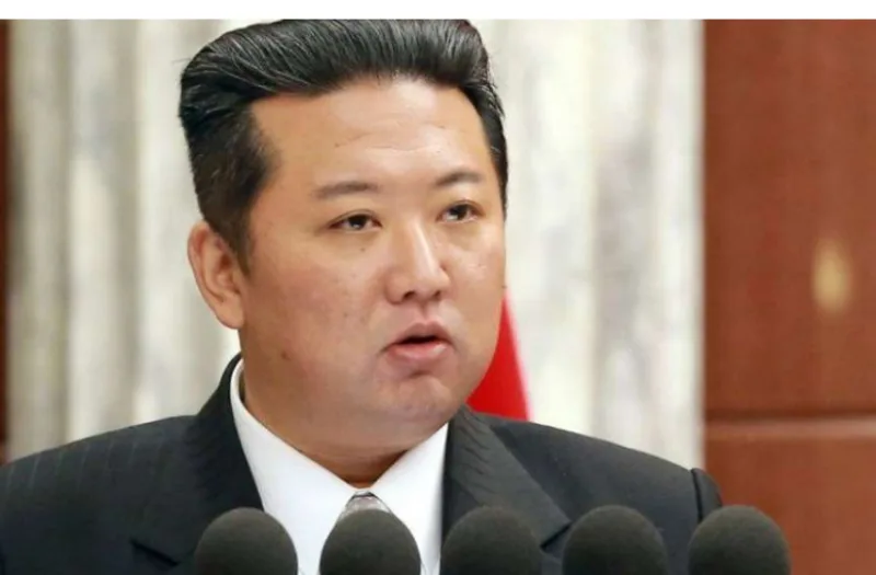 kim 5