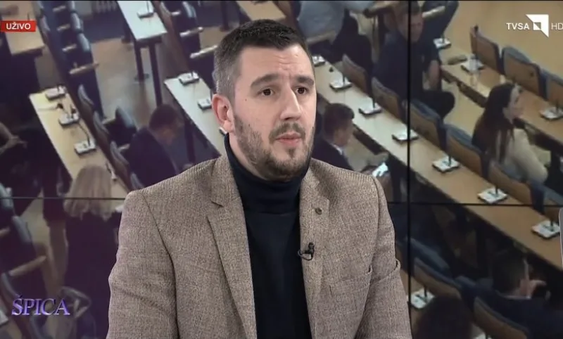 vibor handzic