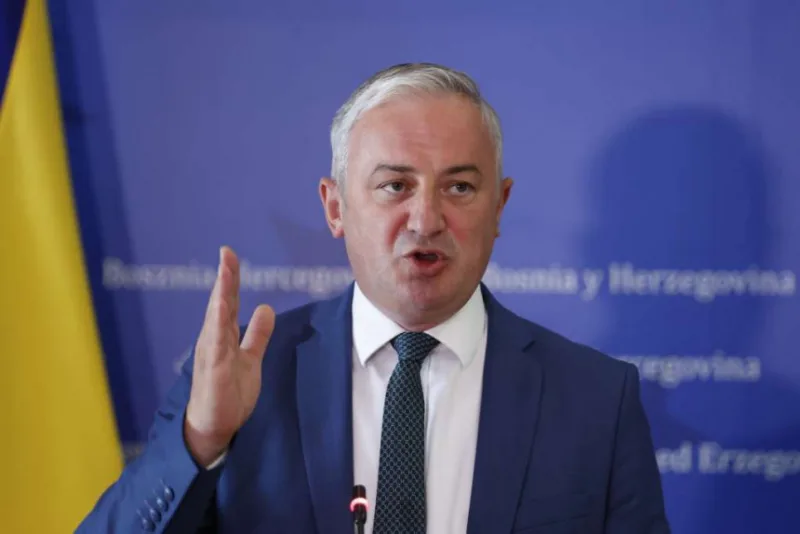 branislav borenovic