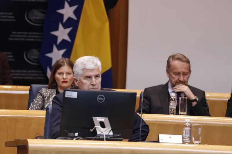 covic izetbegovic fena