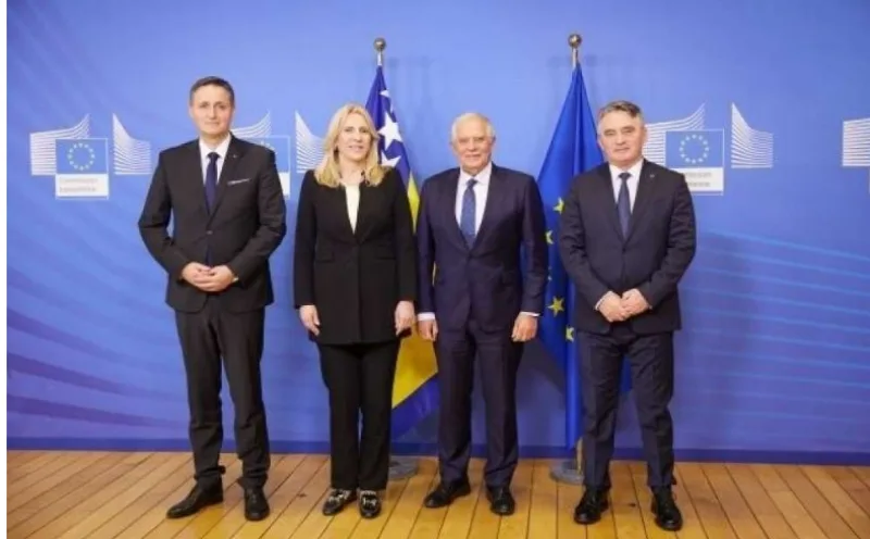 borrell 2