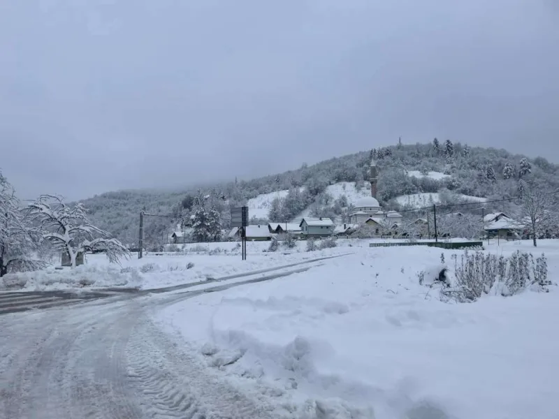pale fbih