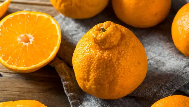 mandarine