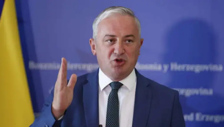 branislav borenovic