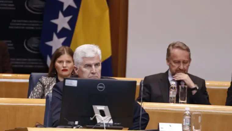 covic izetbegovic fena