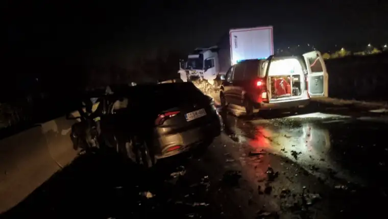 udes bih zenica