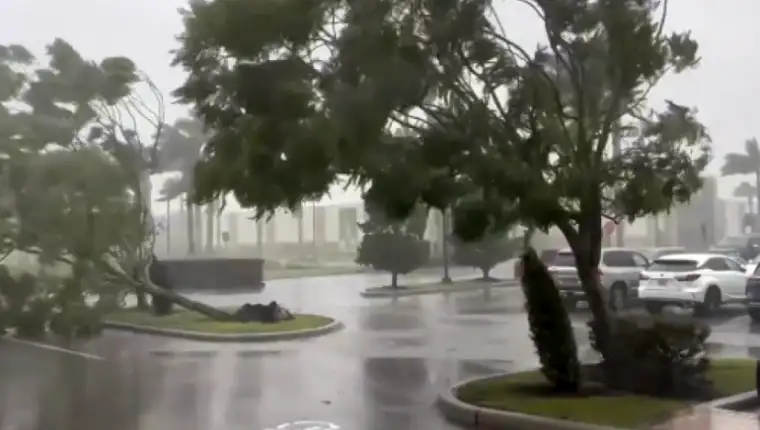 florida 3