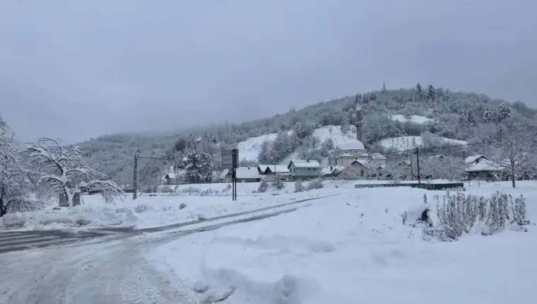 pale fbih