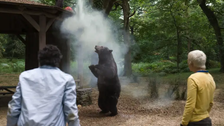 COCAINE BEAR