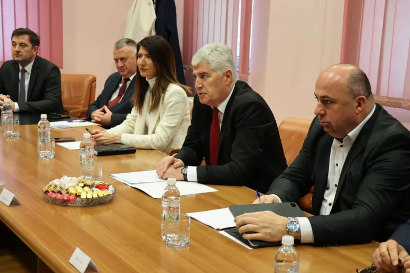 covic hdz lasic fena