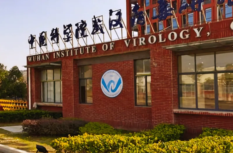 wuhan 3