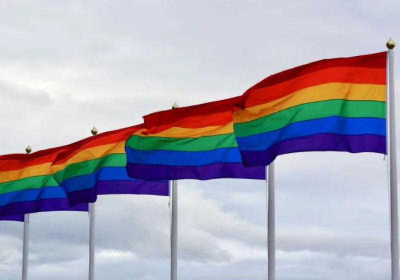 zastava lbgt b2
