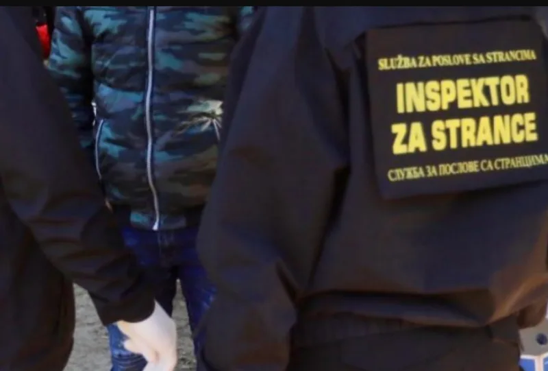 steranci 1