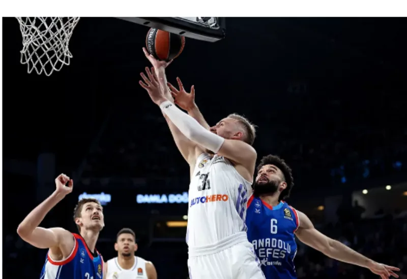 musa efes 1