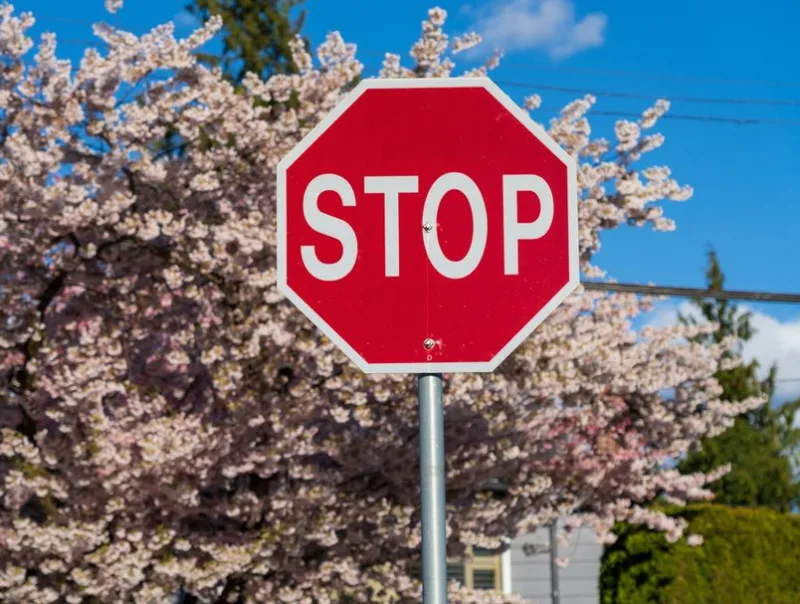 62497974-stop-znak