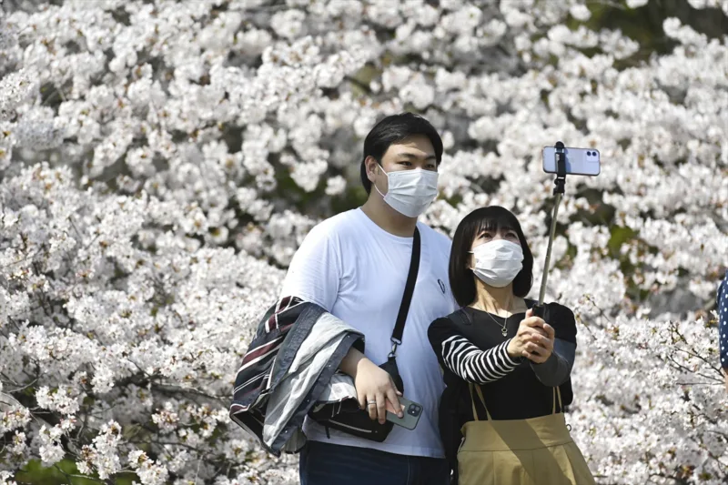 Japan behar tresnje AA (5)