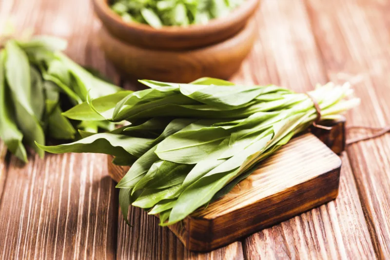 Fresh wild garlic