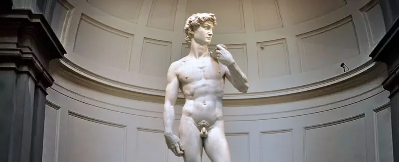 david