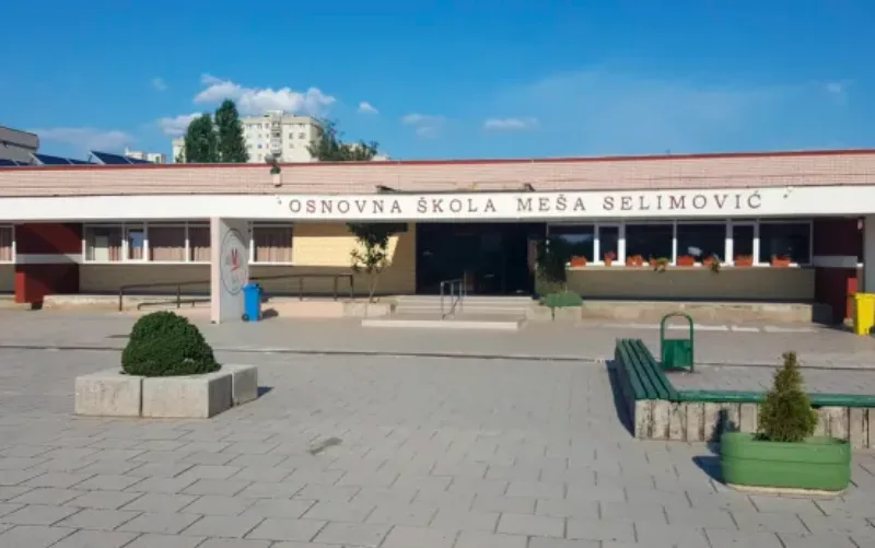 mesa selimovic
