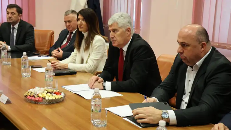 covic hdz lasic fena