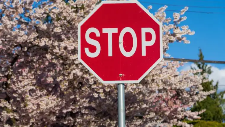 62497974-stop-znak