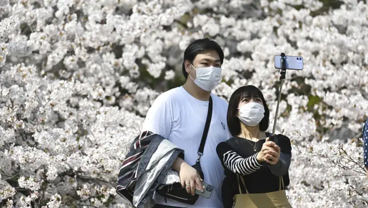 Japan behar tresnje AA (5)