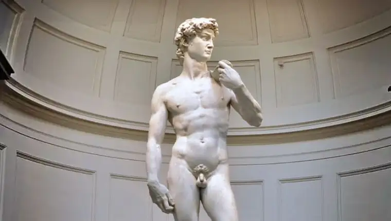 david