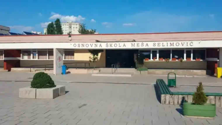mesa selimovic