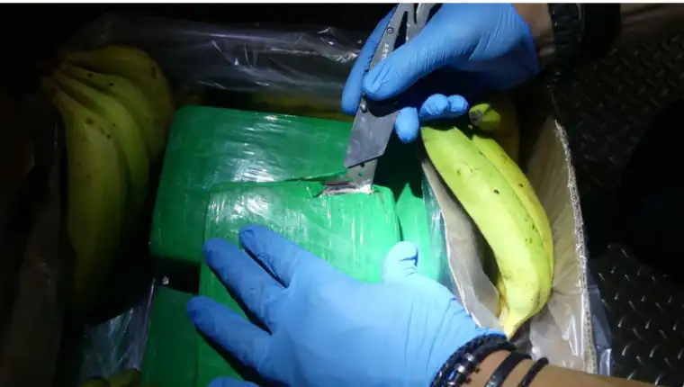 kokaIN BANANE 2