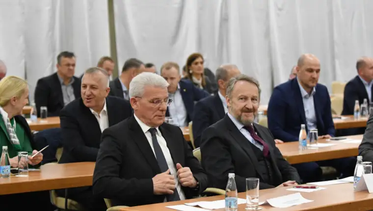 sefik dzaferovic bakir izetbegovic ng