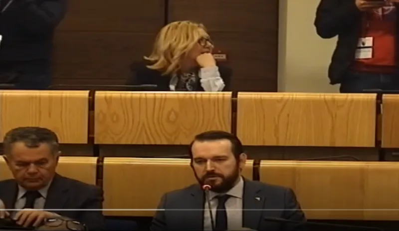 admir cavalic parlaent