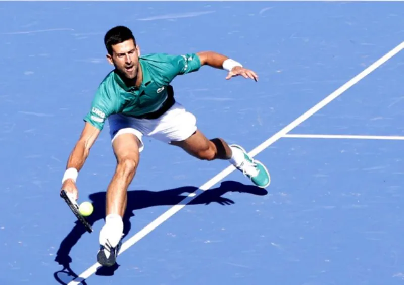 djokovic 6