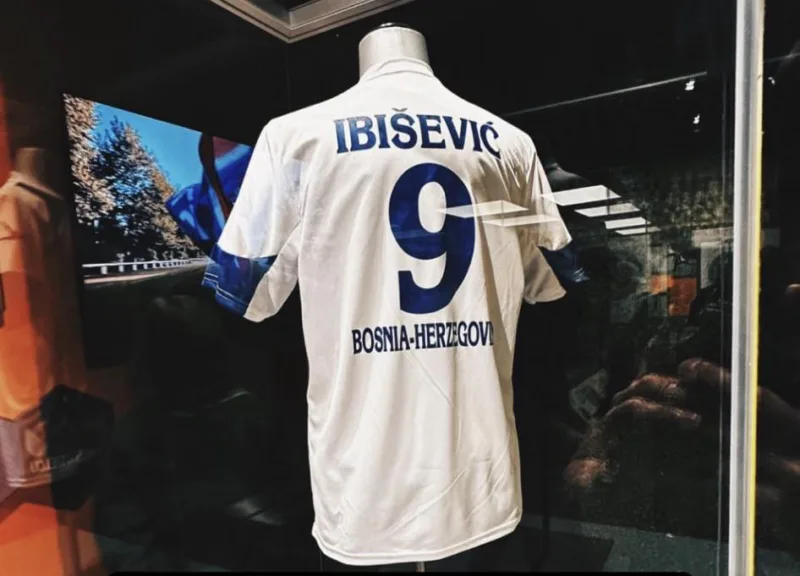 vedad-ibisevic-muzej-st-louis