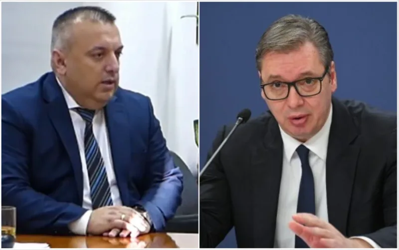 radulovic vucic