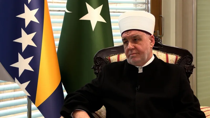 reis kavazovic birn