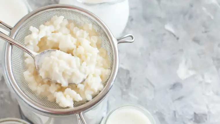 kefir
