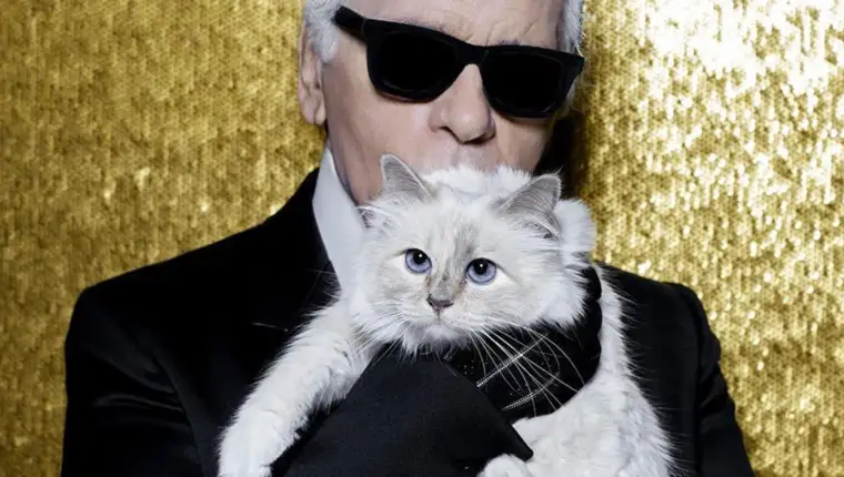choupette lagerfeld