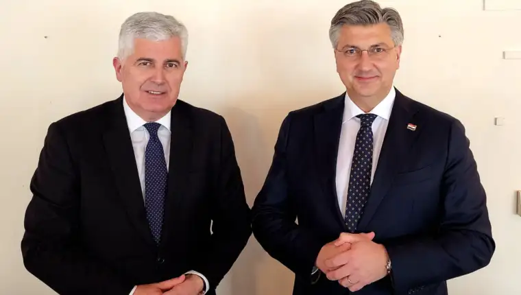 covic plenkovic d
