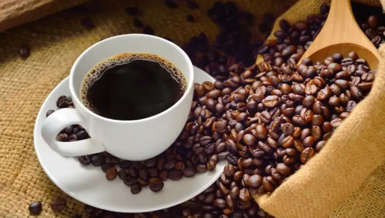 kafa