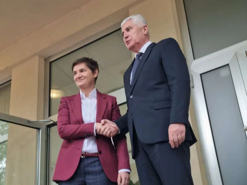 brnabic covic