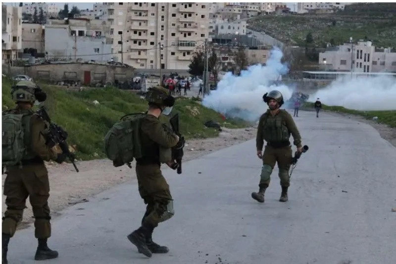 palestina 4