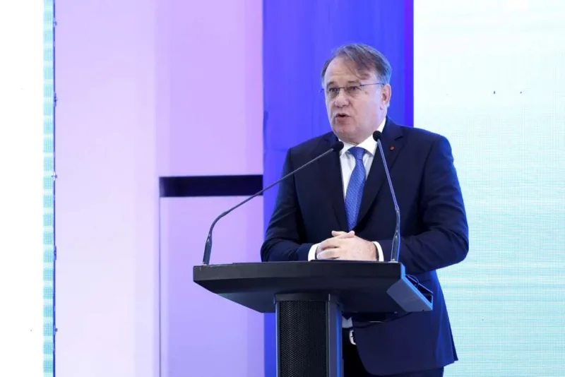 nermin nikšuć