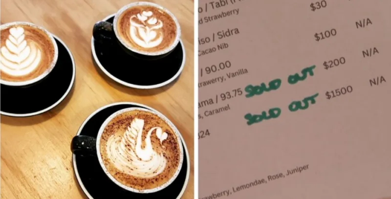 kafa skupa