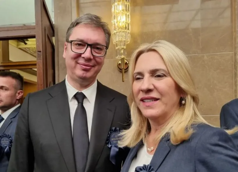 cvijanovic vucic 3